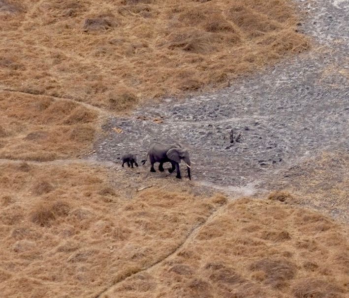 Adiós Namibia