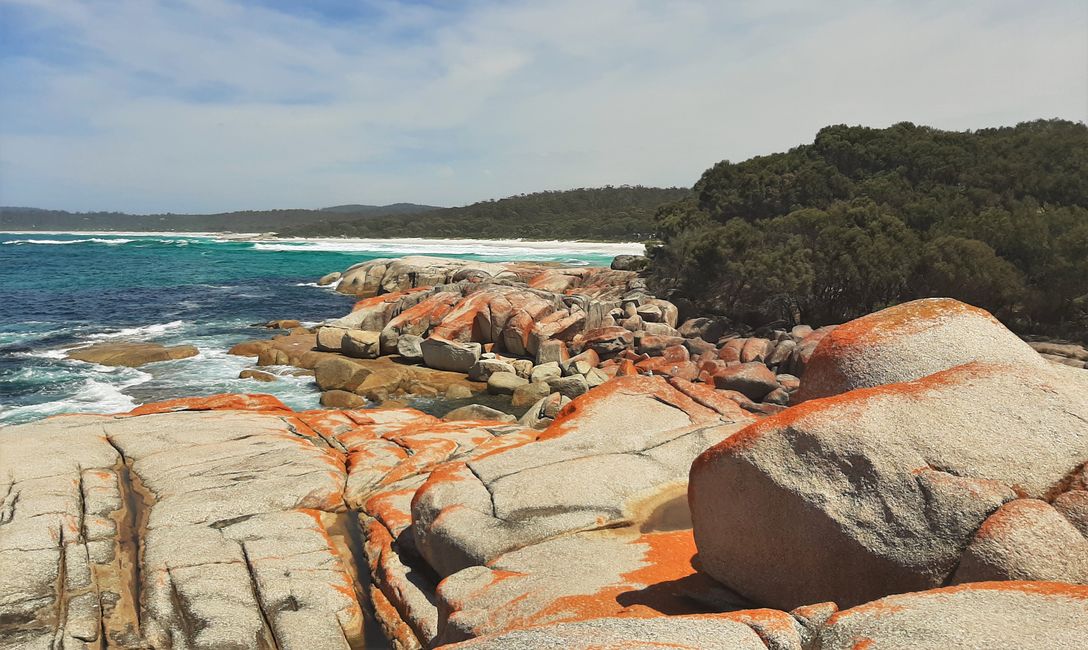 - Singapur & Tasmania 2019 -