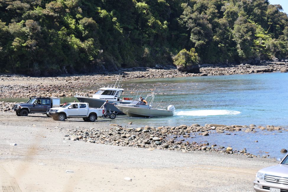 West Coast bis Jackson Bay