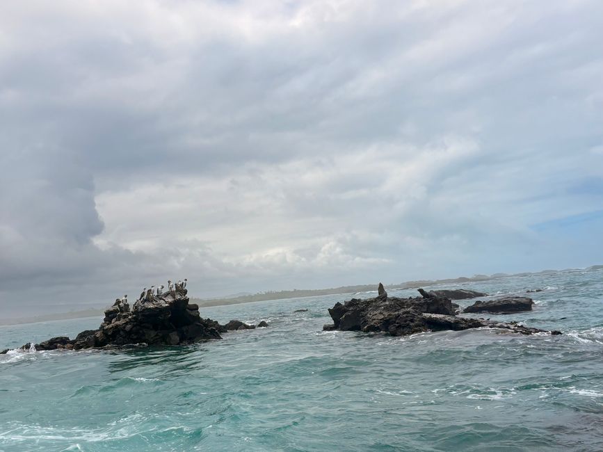 Isabela (Galápagos)