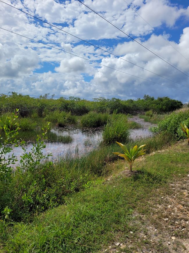 Día 31 de 175: Crucero alrededor del mundo - Belice