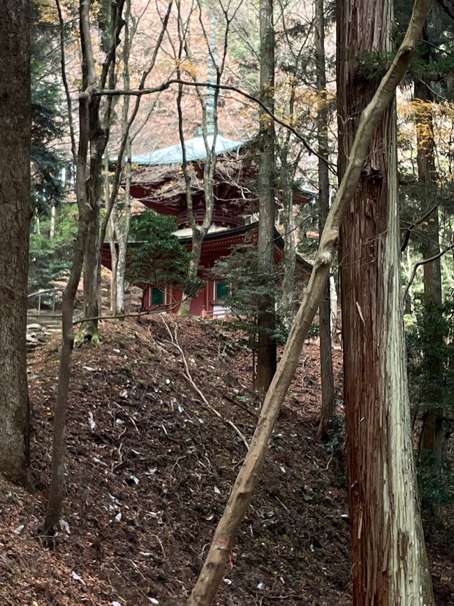 31. Capitolo: L'ultima montagna