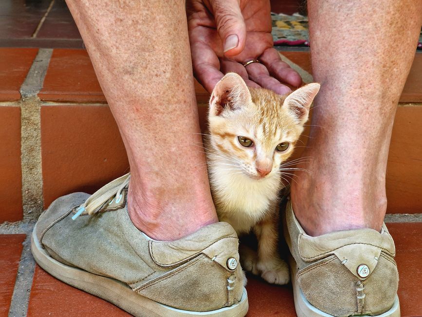 Angkor Wat-Fotoshooting