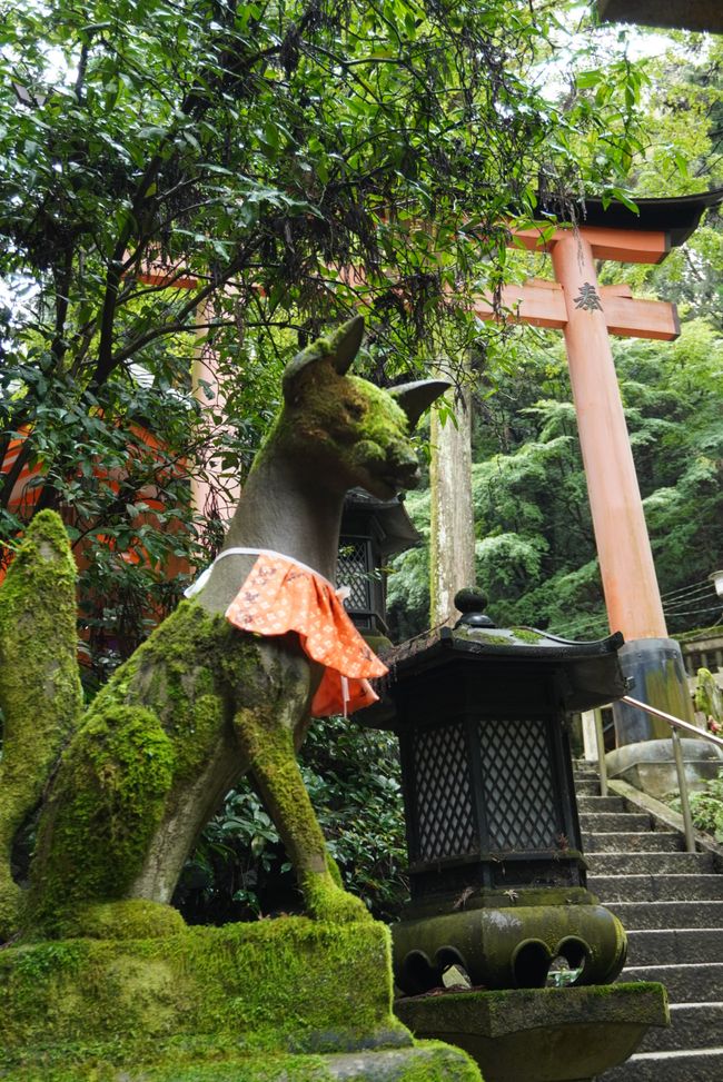 Im Sprint durch Kyoto