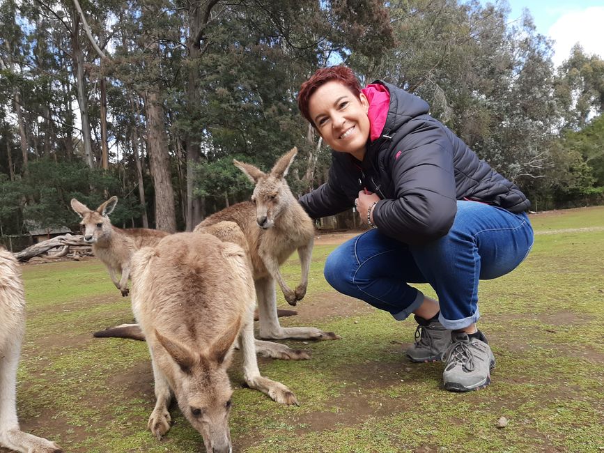 - Singapur & Tasmania 2019 -
