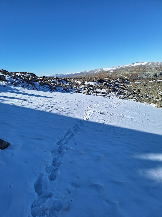 Glaciar Parte 2 (desvío incorrecto), Noruega Día 20