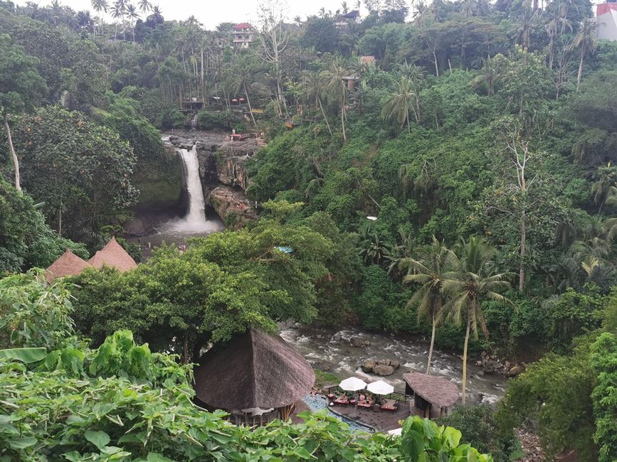 Excursión de un día a Ubud y Tegallalang
