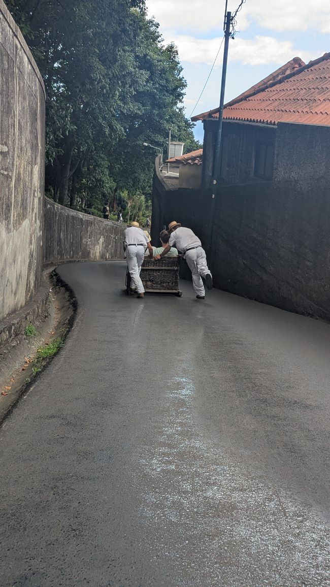 Tag 9: Funchal - mit einer rasanten Schlittenfahrt