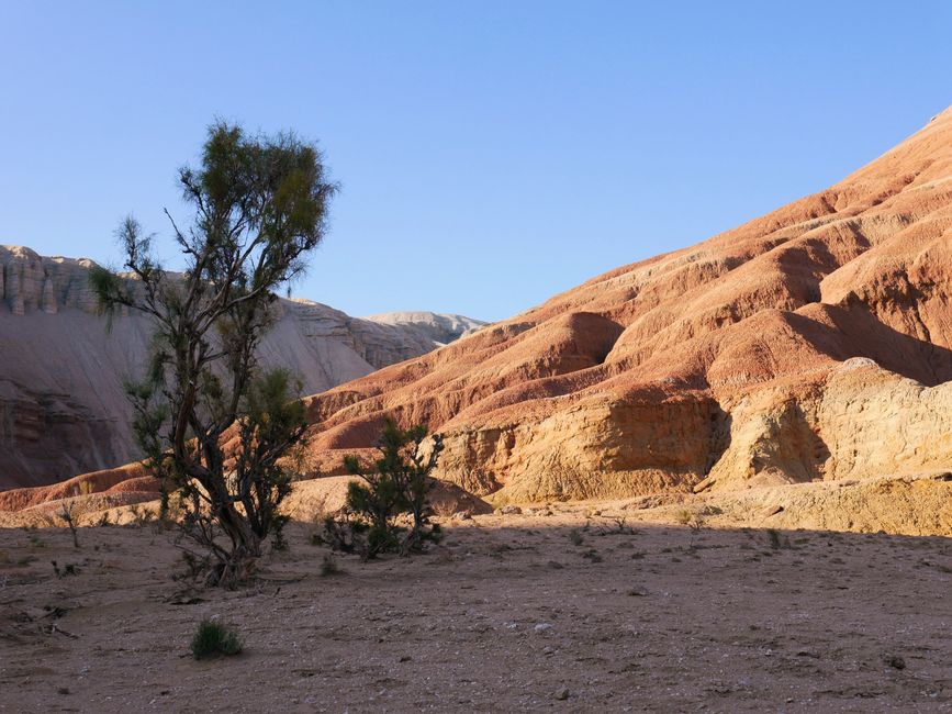 Altyn Emel Nationalpark - Tag 1 [Национальный парк Алтын-Эмель - День 1]
