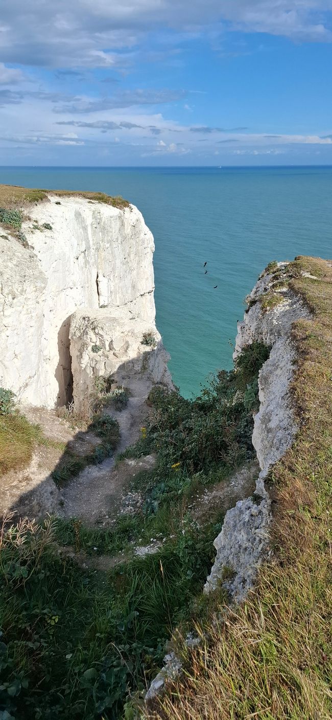 Tag 15 - Londra -> Dover