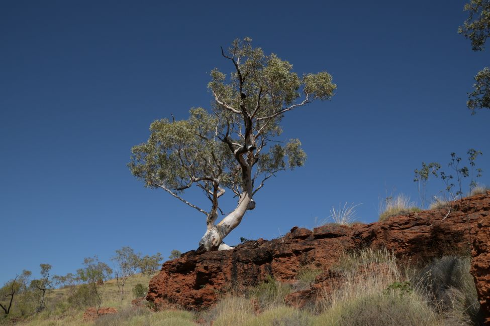 Upper Weano Gorge