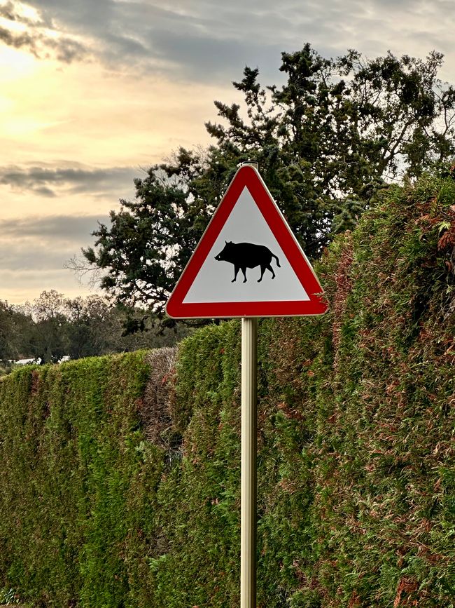 Diversidad de la naturaleza