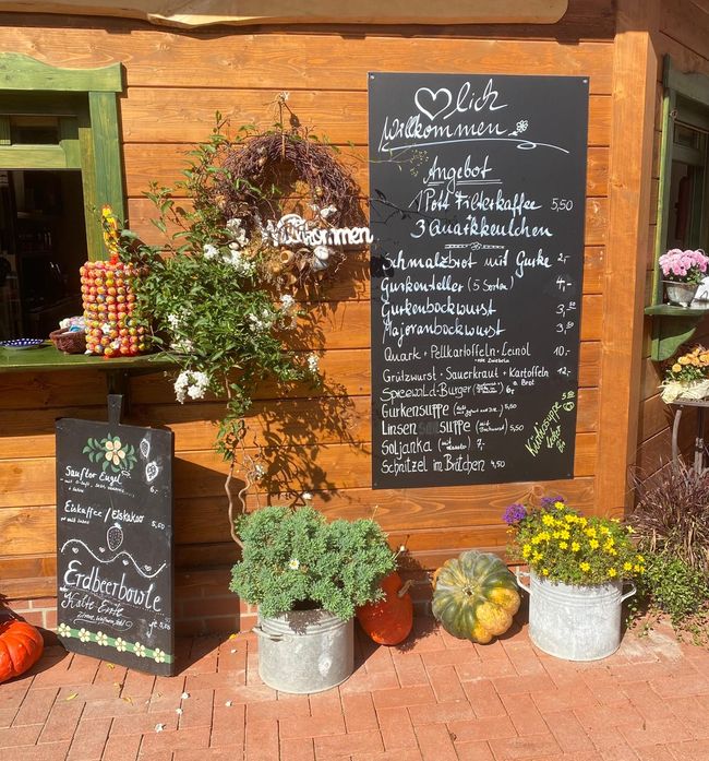 Spreewald like in the old days – A rewarding trip to Lehde