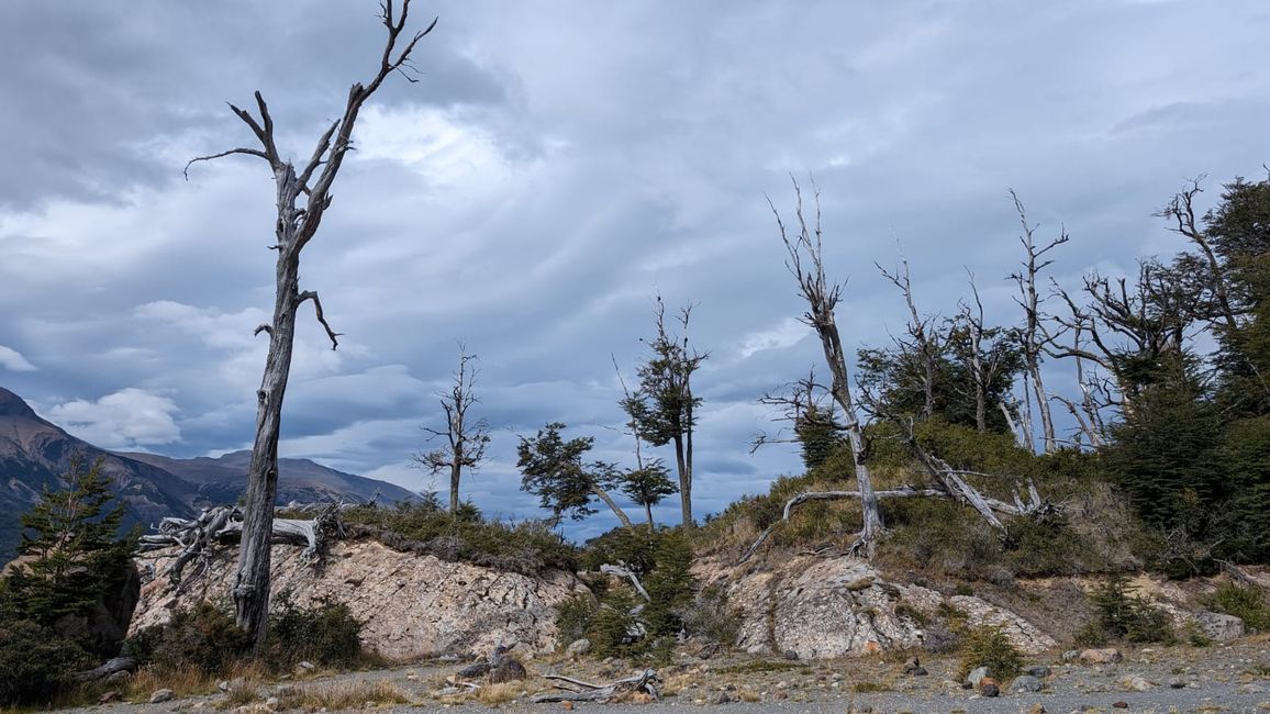 Parque Nacional Los Glaciares - Perito Moreno Gletscher