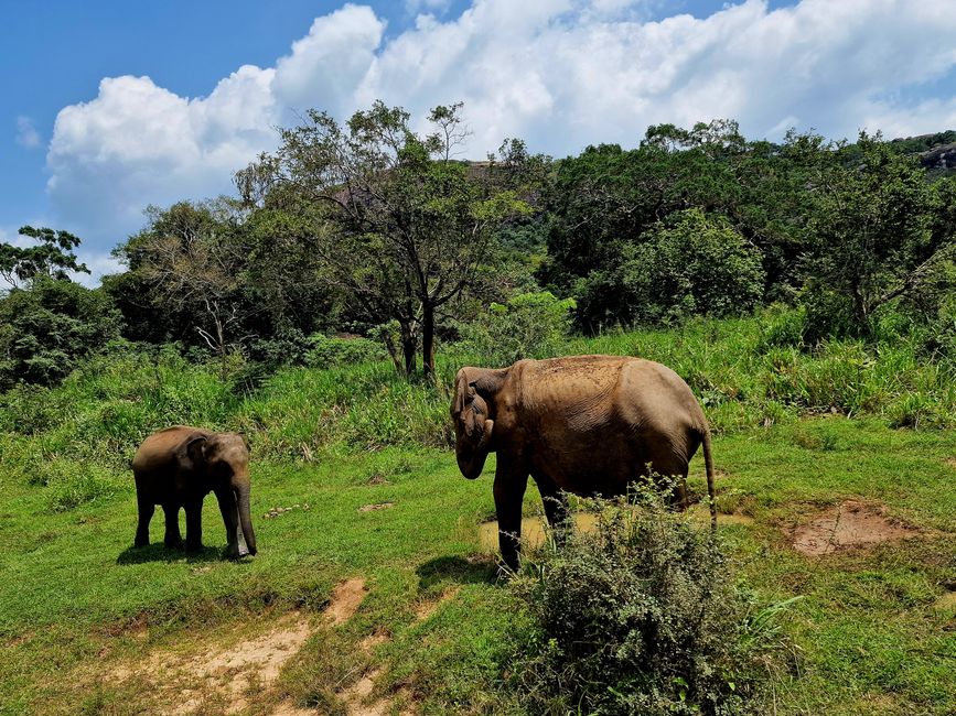 Hurulu Eco Park