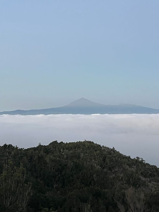 View Teide Teneriffa