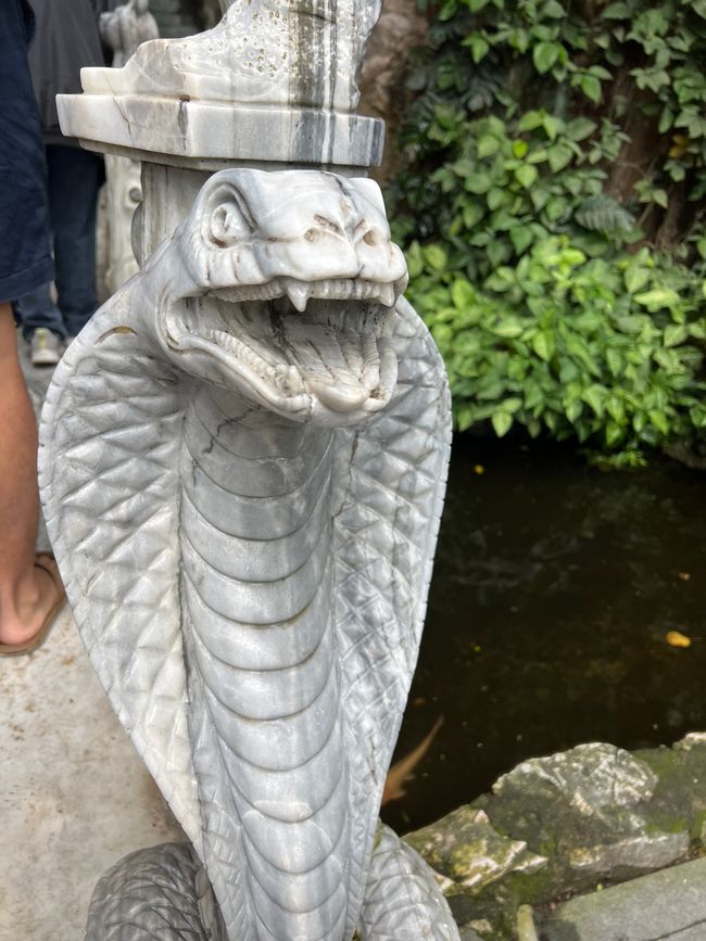 Tag 5 - Hoi An: Ein Tag mit Affen, Einhörnern und vielen Überraschungen