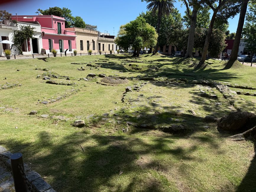 Etiqueta 12: Colón