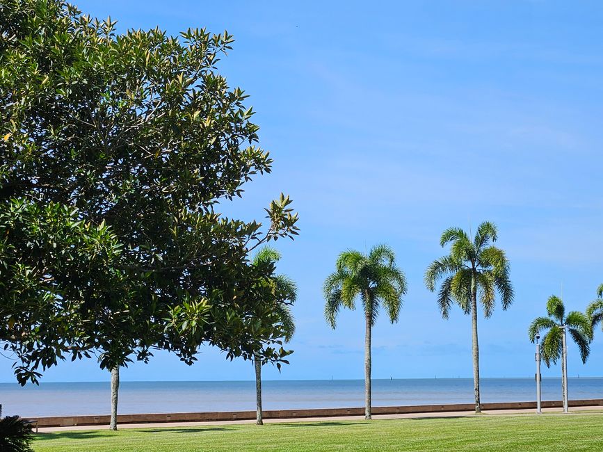 66. Day Cairns, Australia 29.01.2026