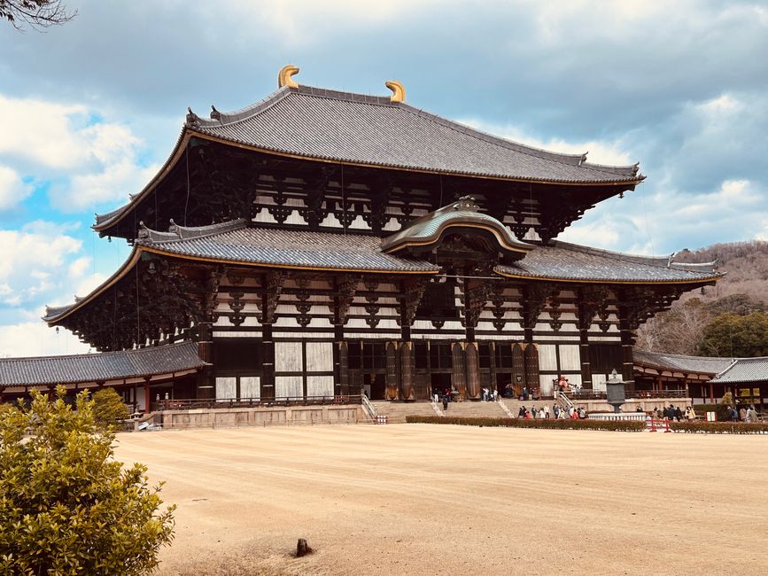 Nara - Tag 10
