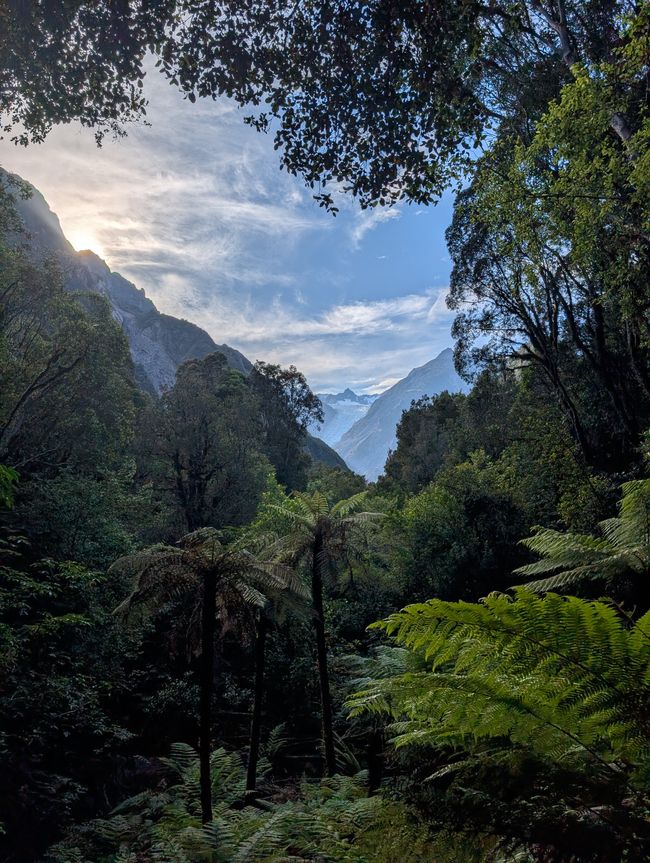 Without Words to Queenstown