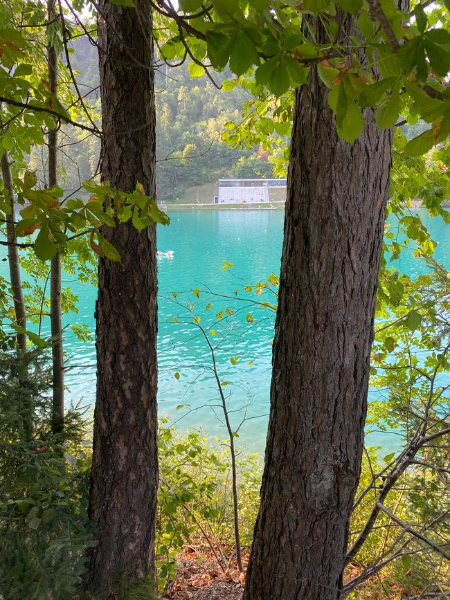 Tag 3 - Excursión al Lago de Bled