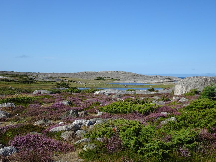 Halden - Strömstad - Kostereilanden - Halden