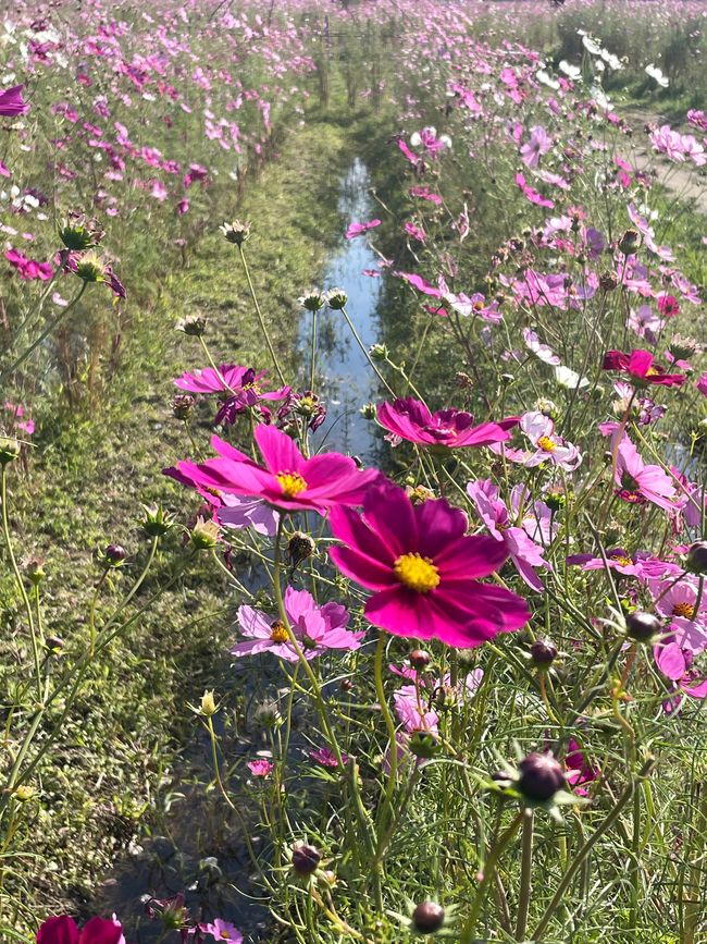 4.Kapitel: Ein bisschen vorzeitig ins Paradies