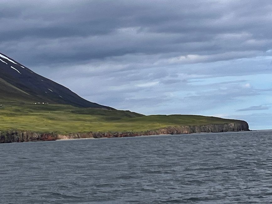 Whale Watching