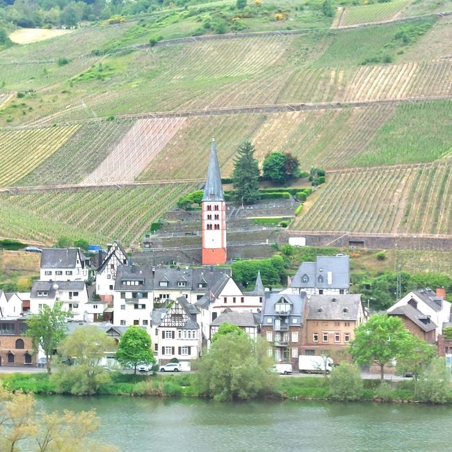 Zell (quartiere Merl)