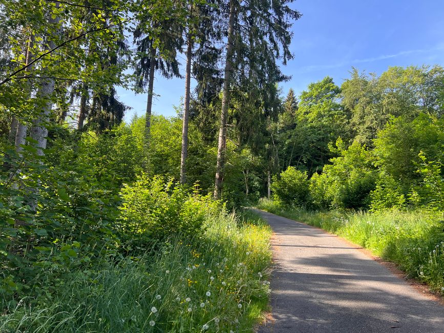 24a Spaziergang nach Donaueschingen