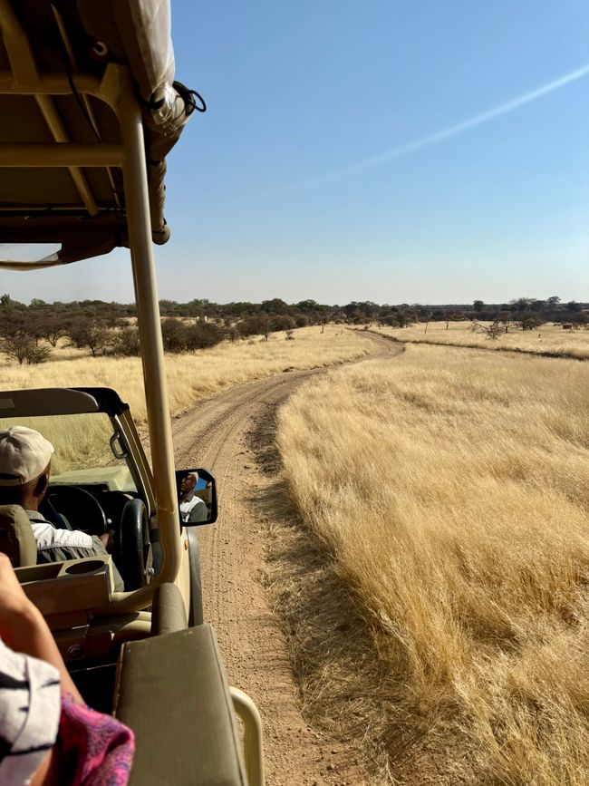 Namibia 2k25 🦓🏜️🐘