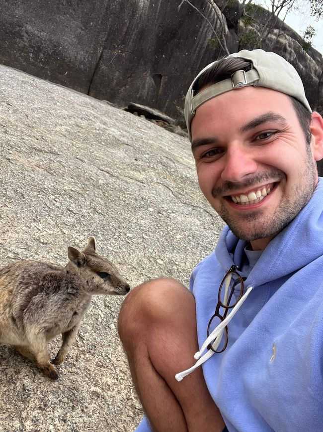 Cairns + Wallabys