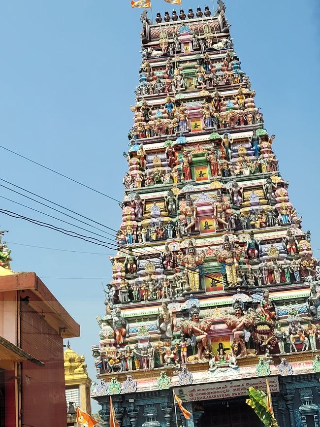Tag 124 und 125 von 175: Kreuzfahrt rund um die Welt - Colombo/Sri Lanka und Seetag