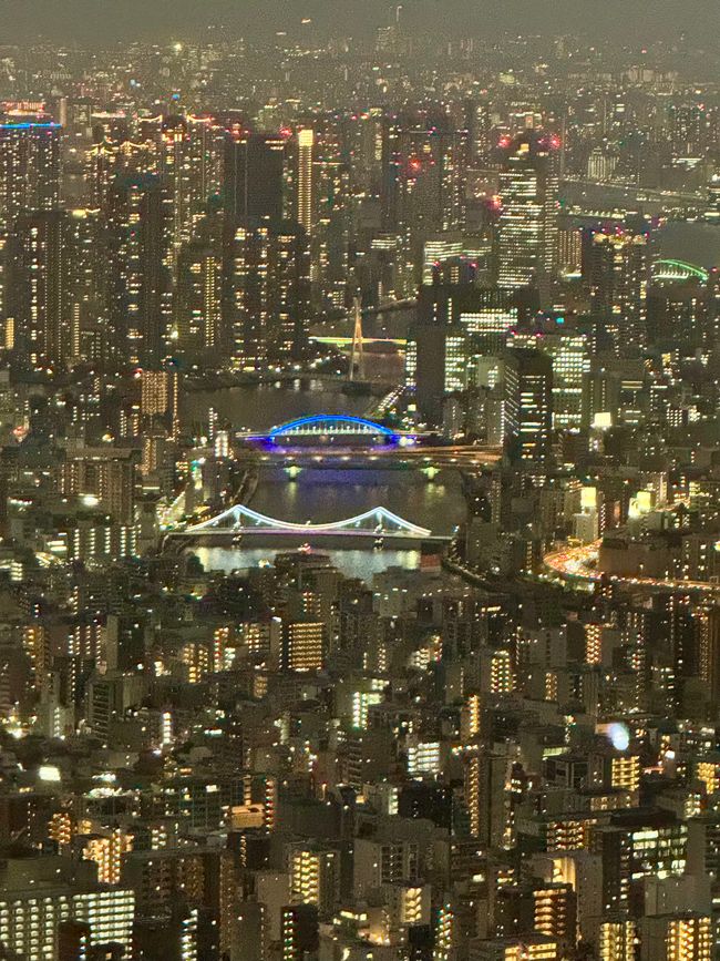 Parte 7
BENVENUTO IN GIAPPONE 🇯🇵
TOKYO