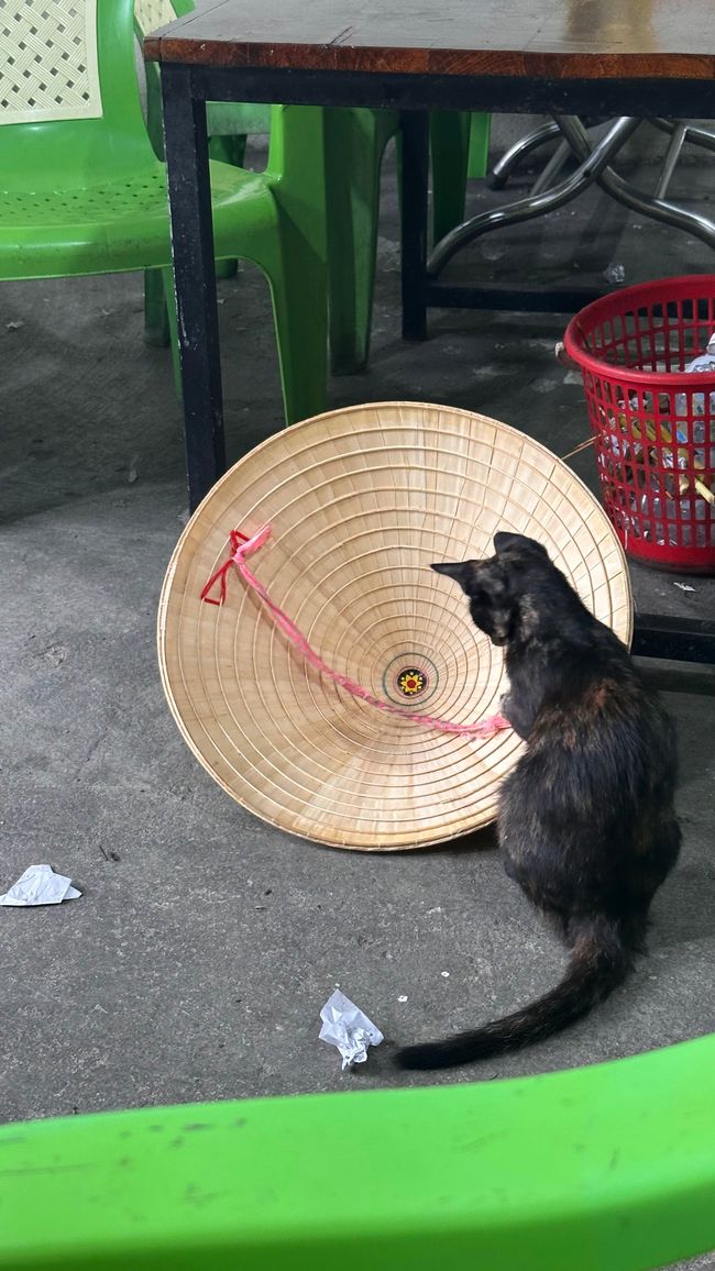 Llegada a Vietnam