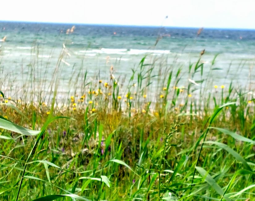 Strand Köpingsvik 