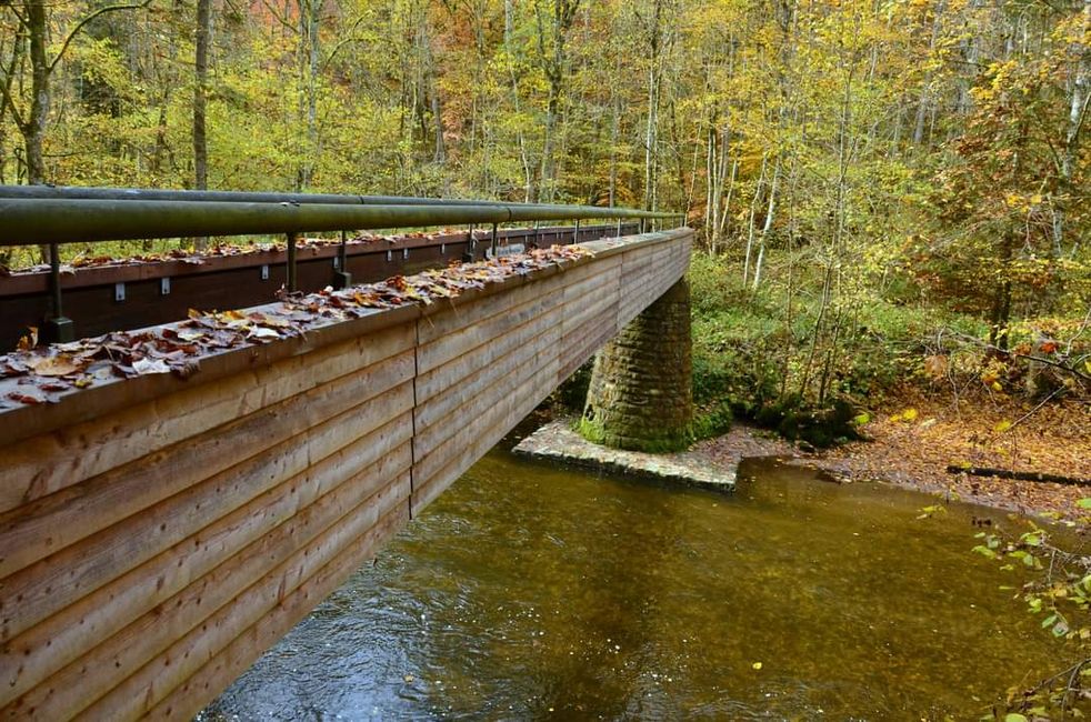 Senderismo de otoño en el Wutachschlucht: rojo, amarillo, naranja... ¡y tú en medio!