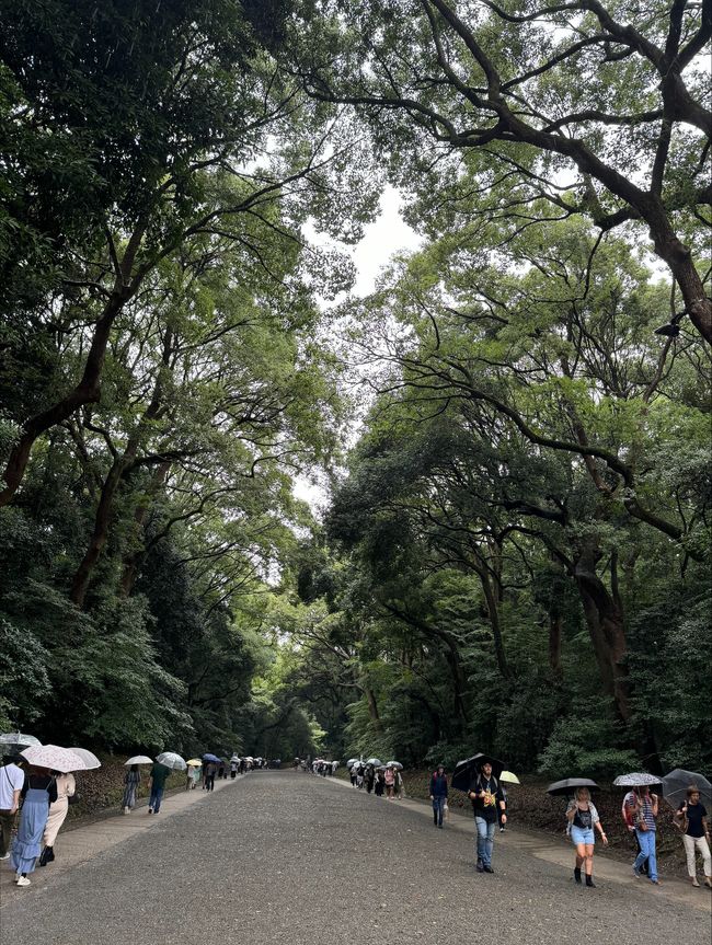 Der Yoyogi-Park