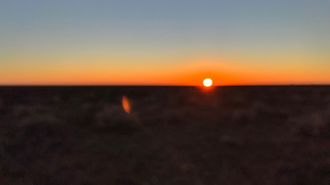 Nullarbor - Welcome to the Outback 🦘