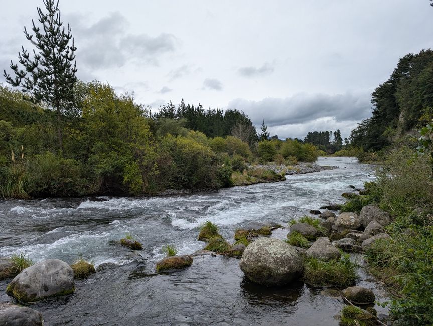 Turangi