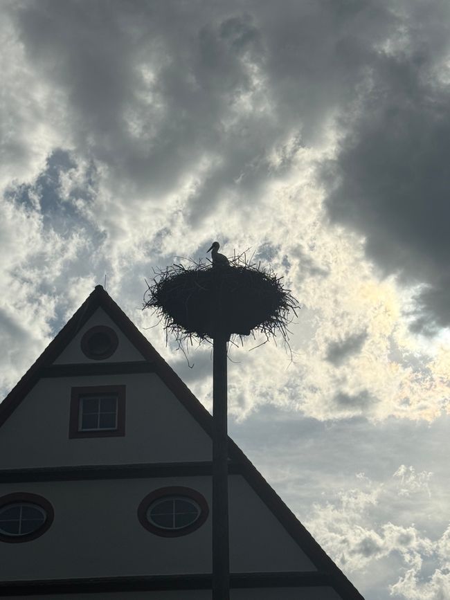 📍Zwiefalten, BW
