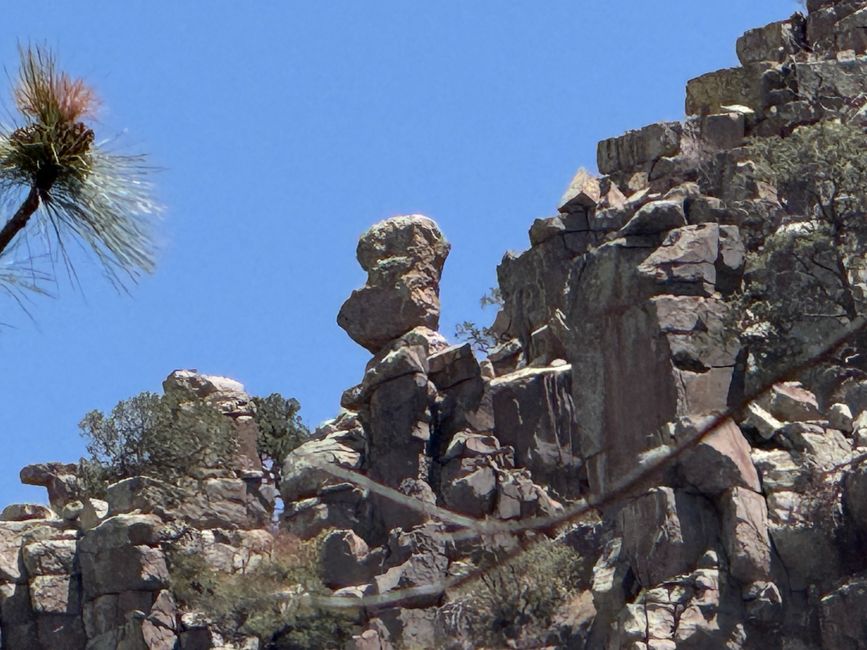 BLOG 12: In der Heimat der Chiricahua-Apachen