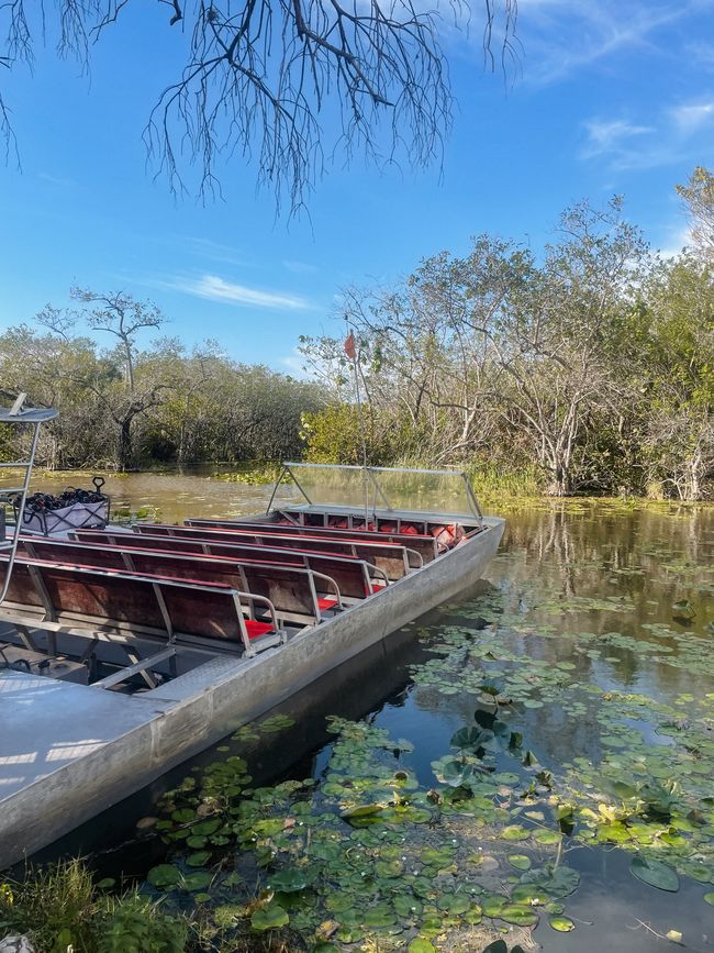 Bienvenue à Miami 1ee1f8
