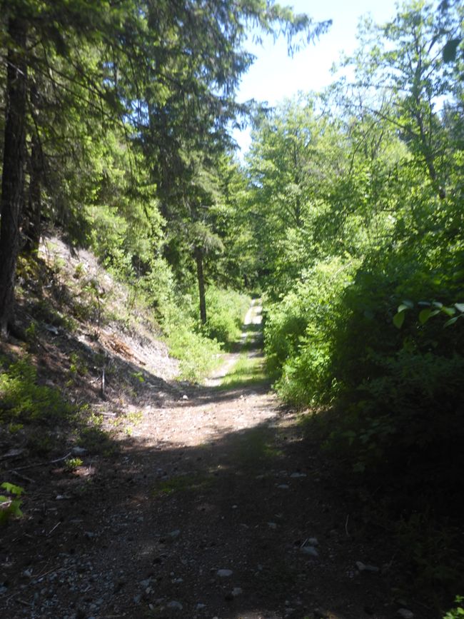 2025-06-02 Whistler, CA