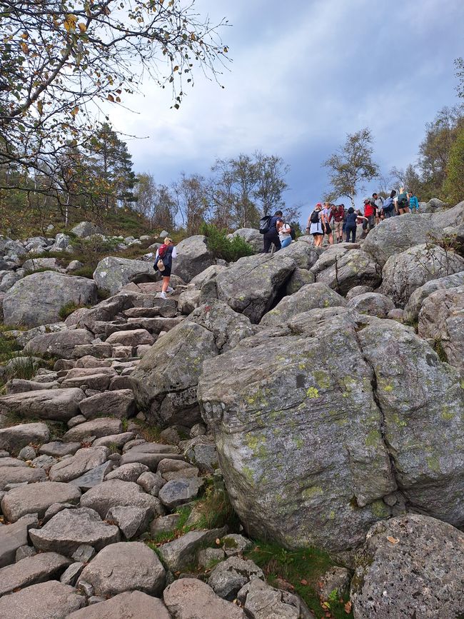 Tag 5 Preikestolen