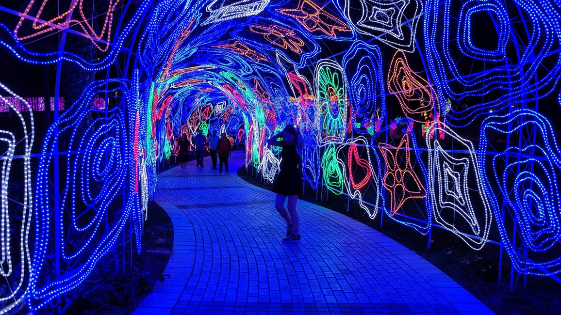 标签 11 (2019) 幻觉博物馆，迪拜框架，迪拜花园光彩与迪拜喷泉