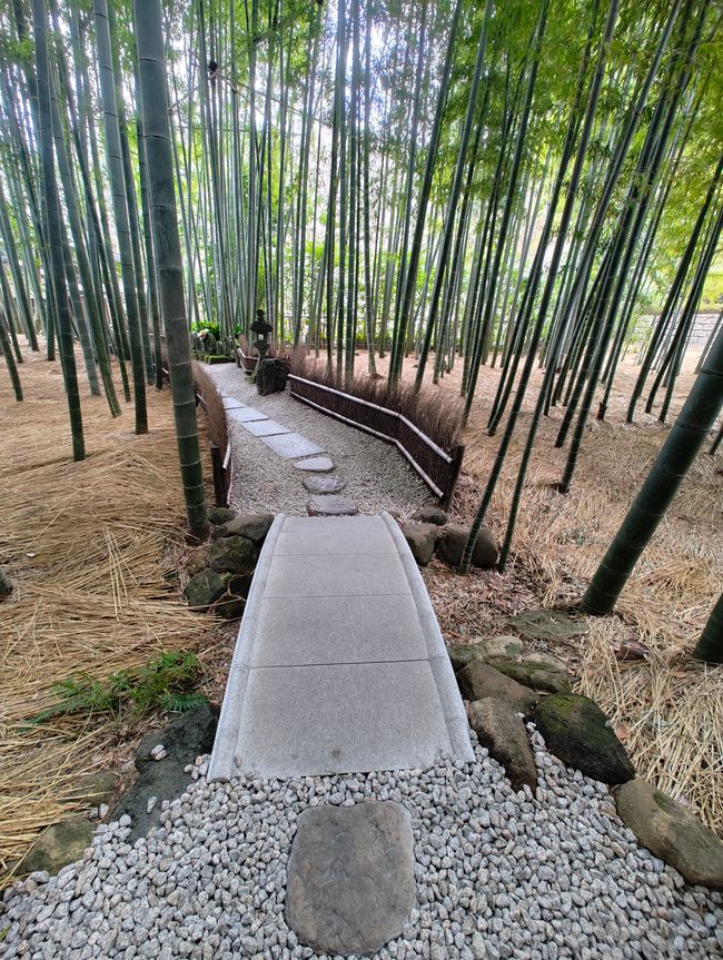 Kamakura - unser letzter Tagesausflug