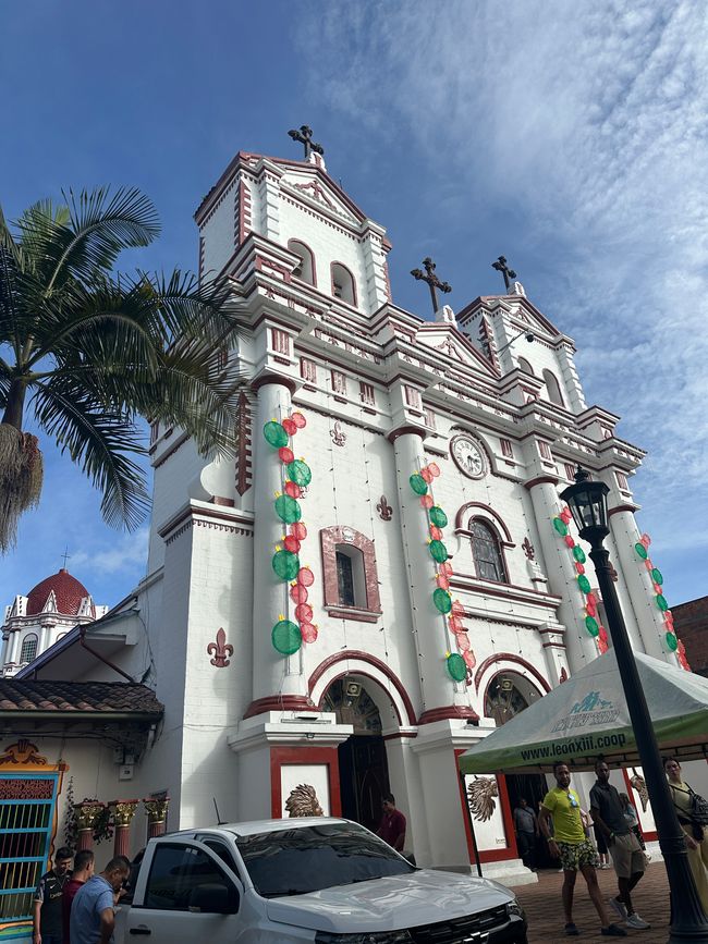 Medellín- die Stadt, in der alles erblüht?