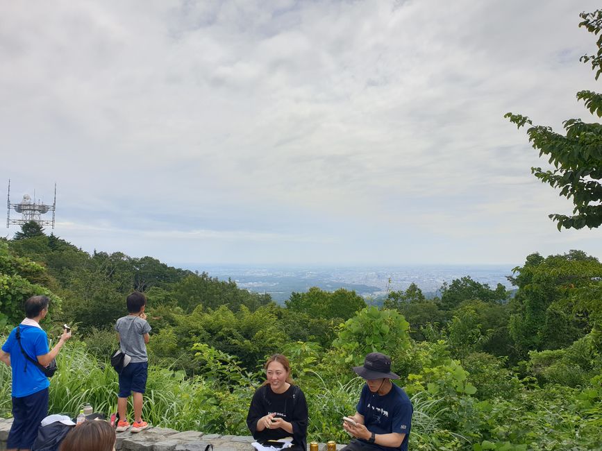 Tokyo aus 50 km Entfernung